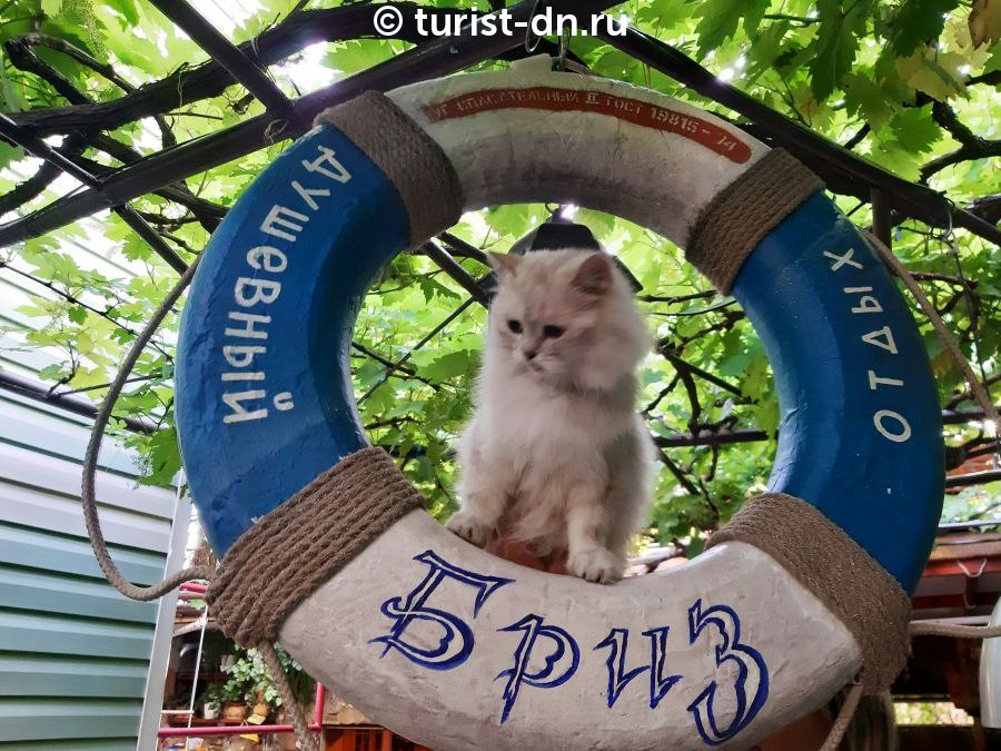 Гостевой дом "Бриз"