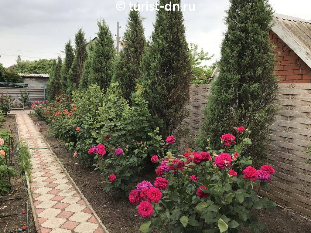Вилла "Розовый Фламинго"